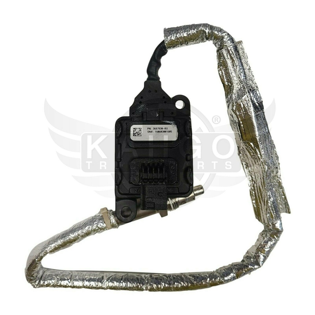 Image-1