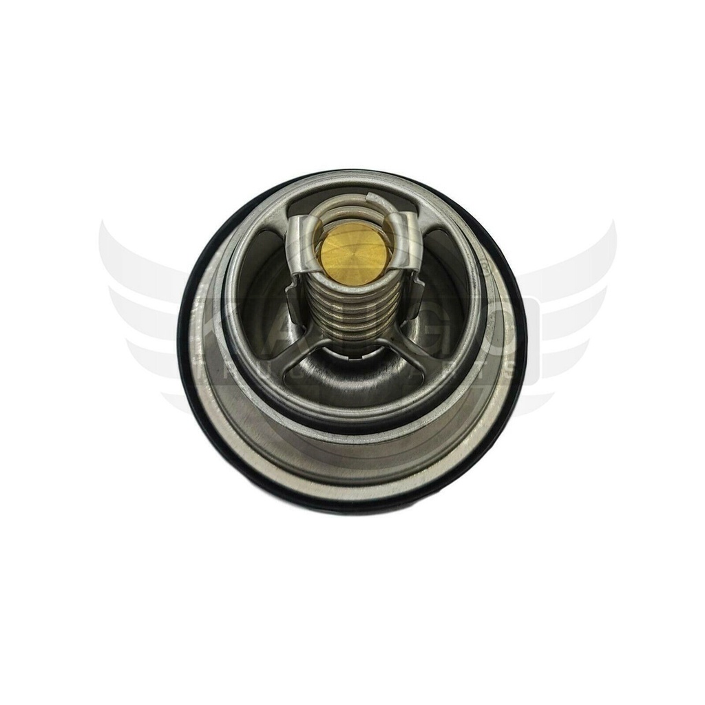 Image-2