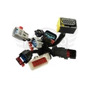 Image-2