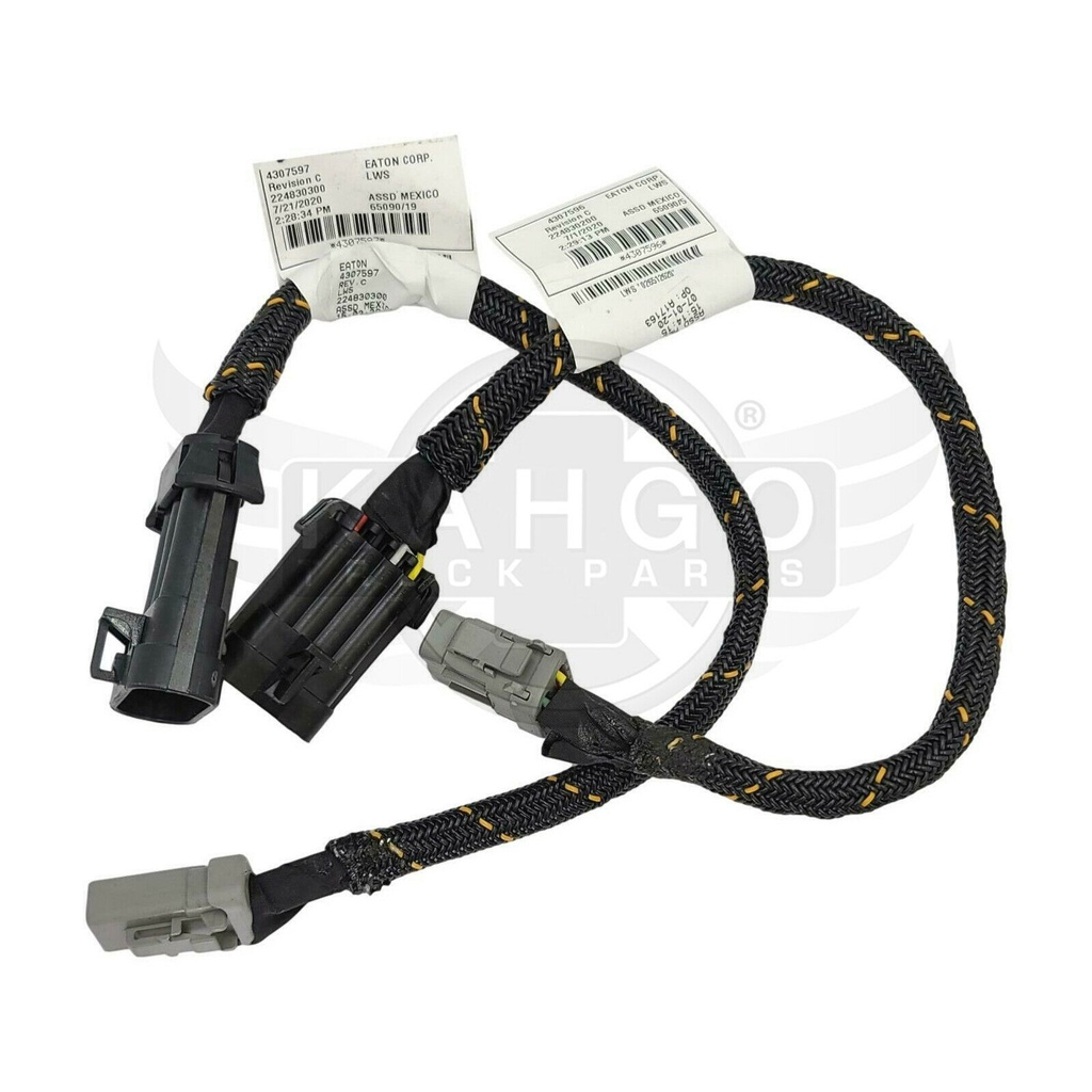 Image-3