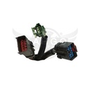 Image-2