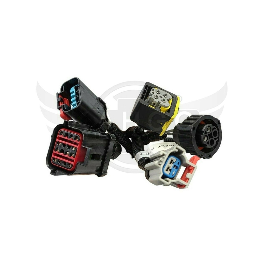 Image-2