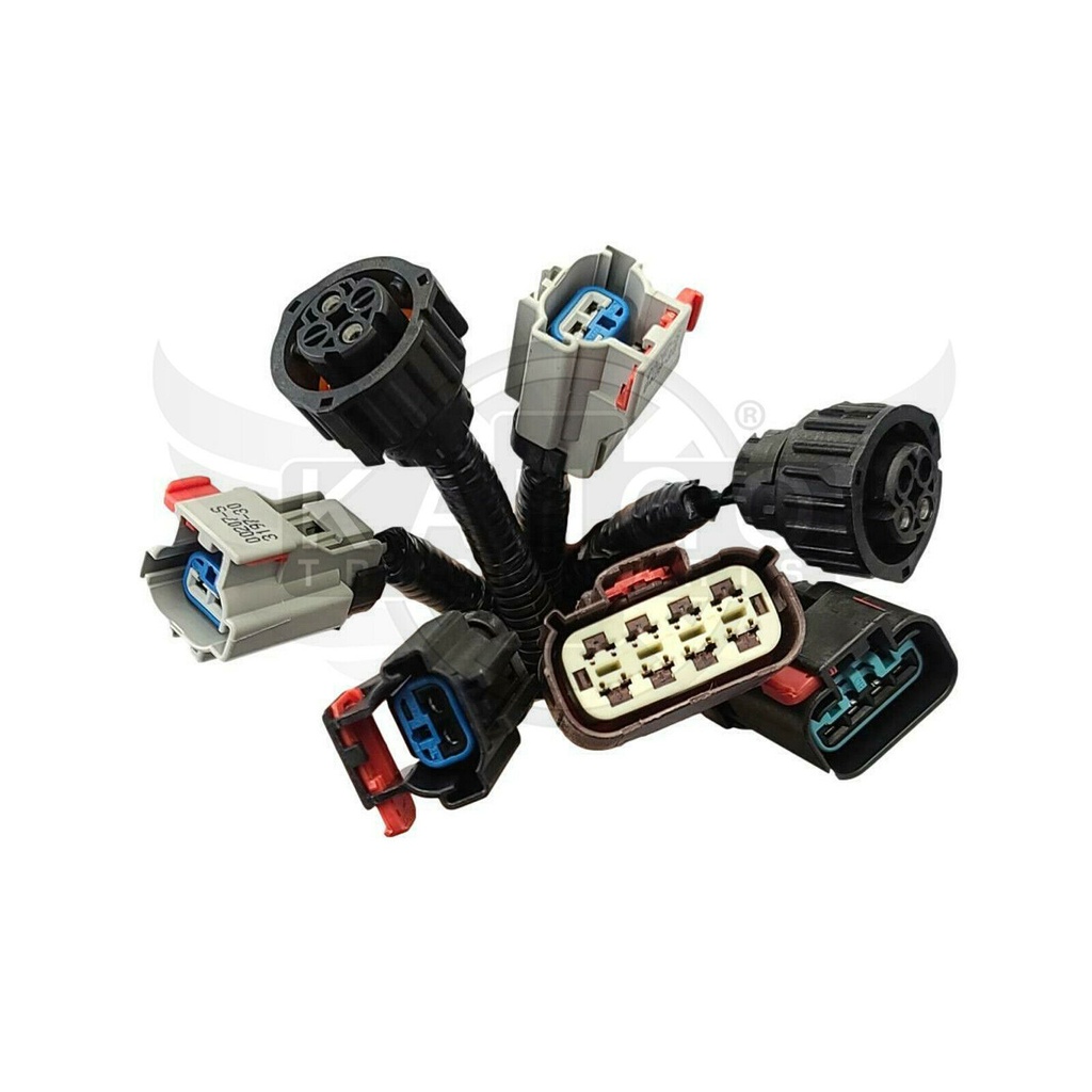 Image-2