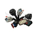 Image-2