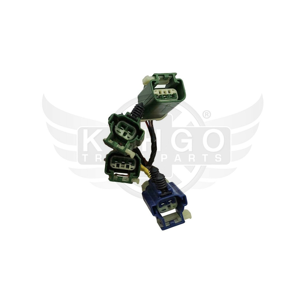 Image-1