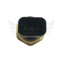 Image-2