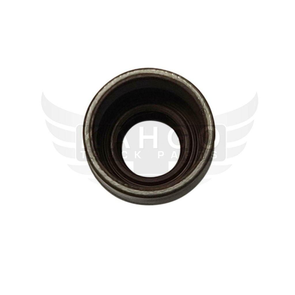 Image-1