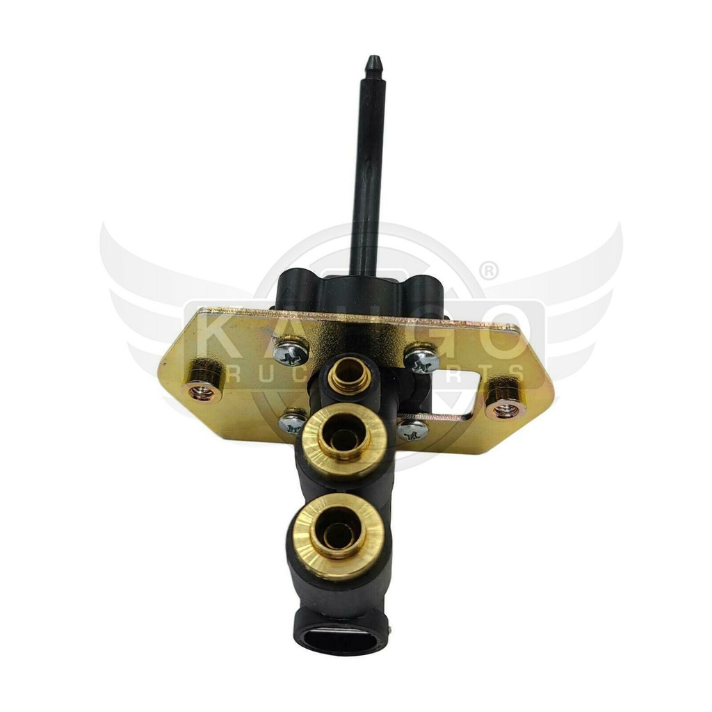 Image-2