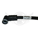 Image-3