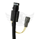 Image-2
