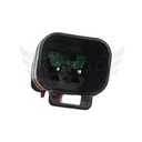 Image-1