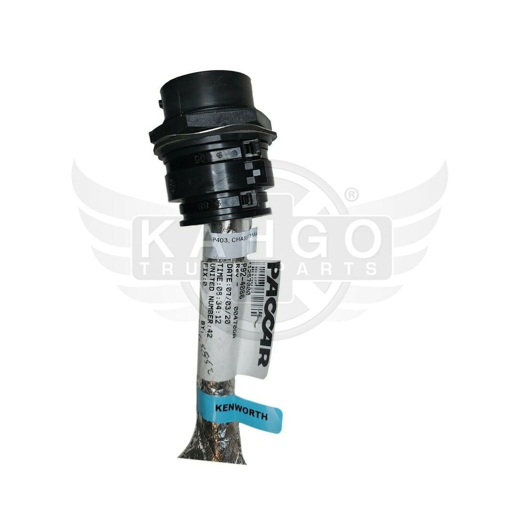 Image-1