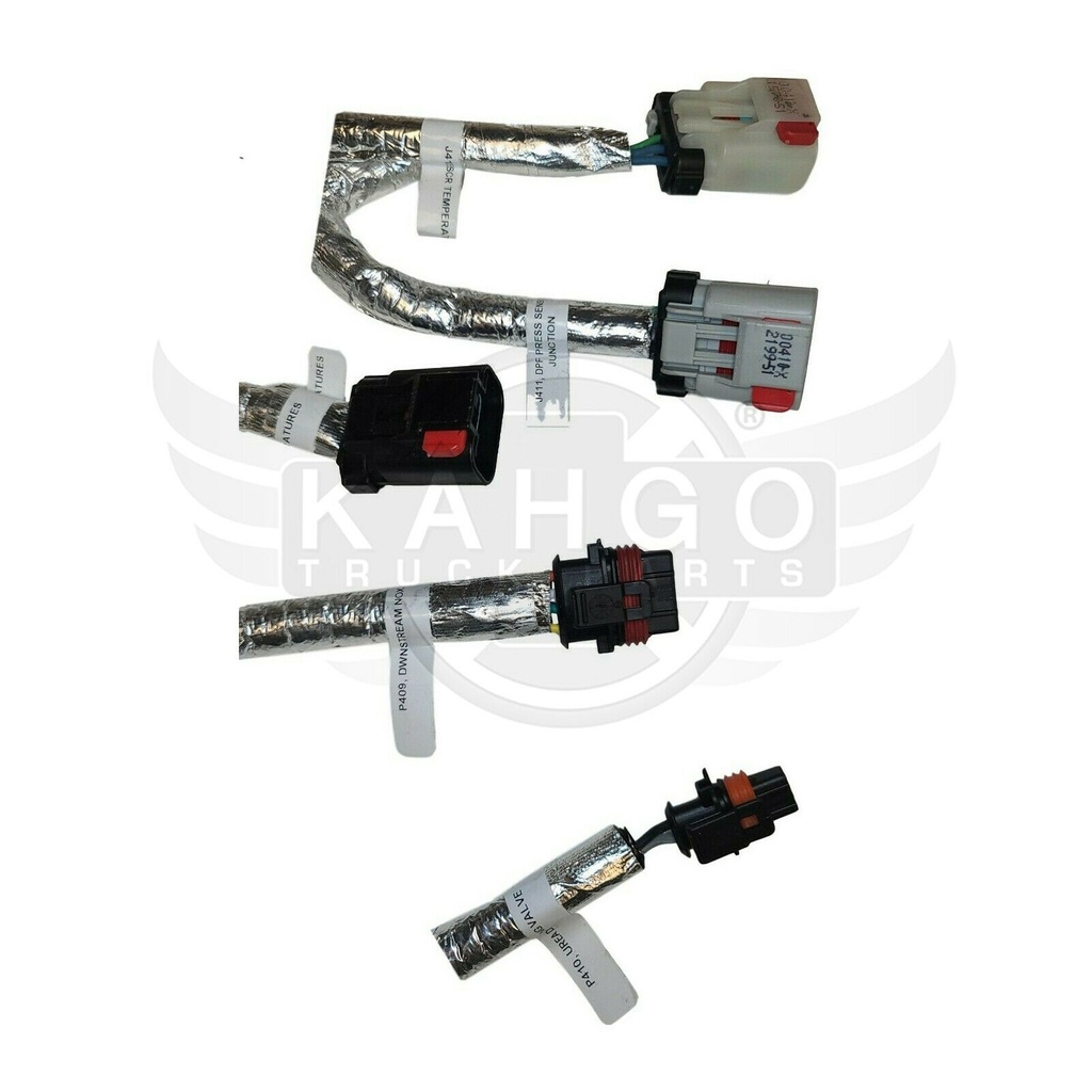 Image-3
