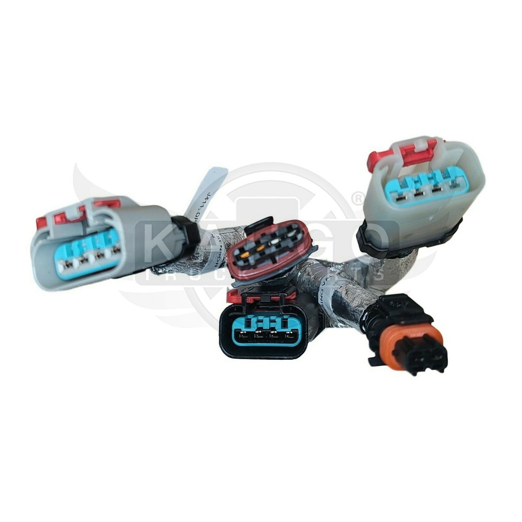 Image-4