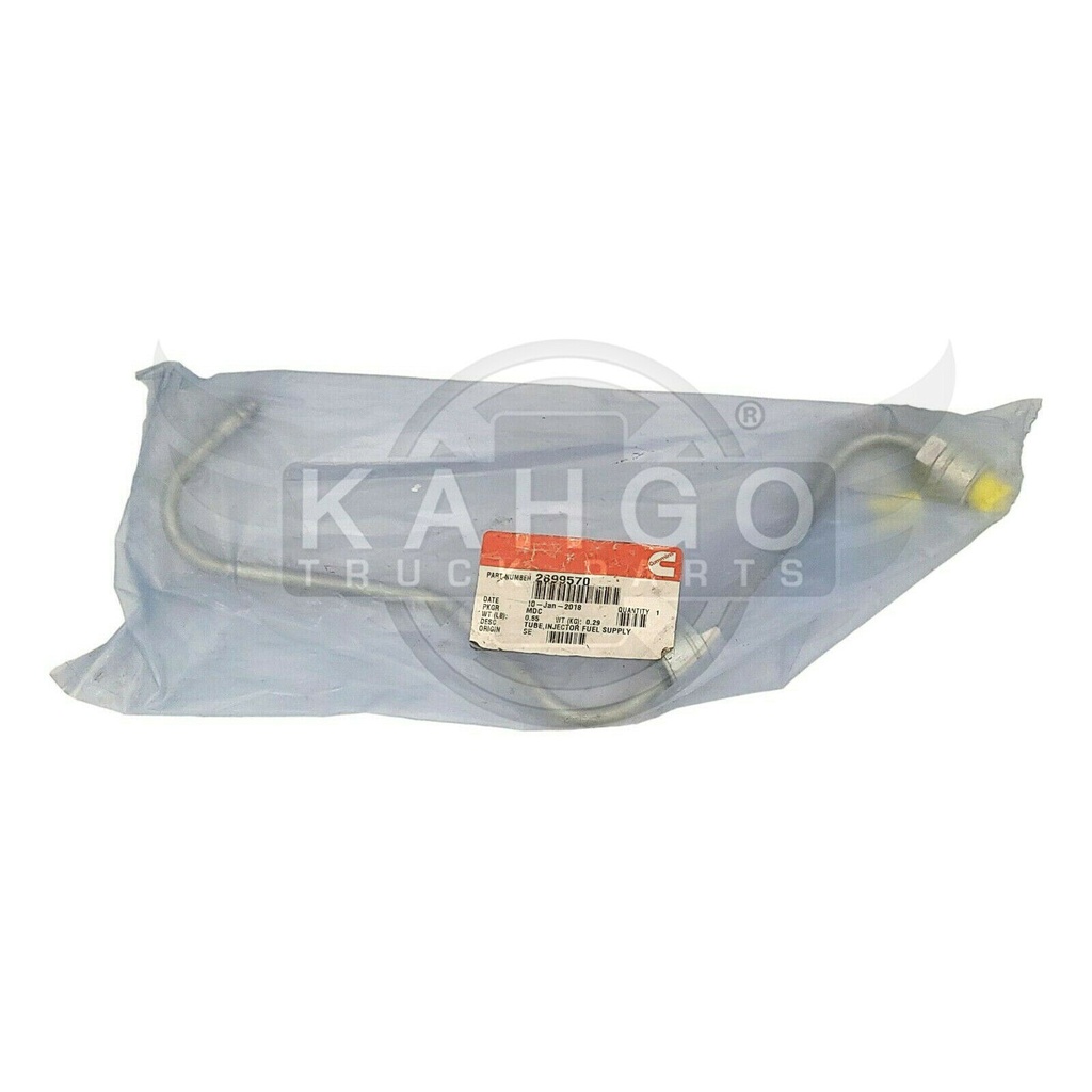Image-1