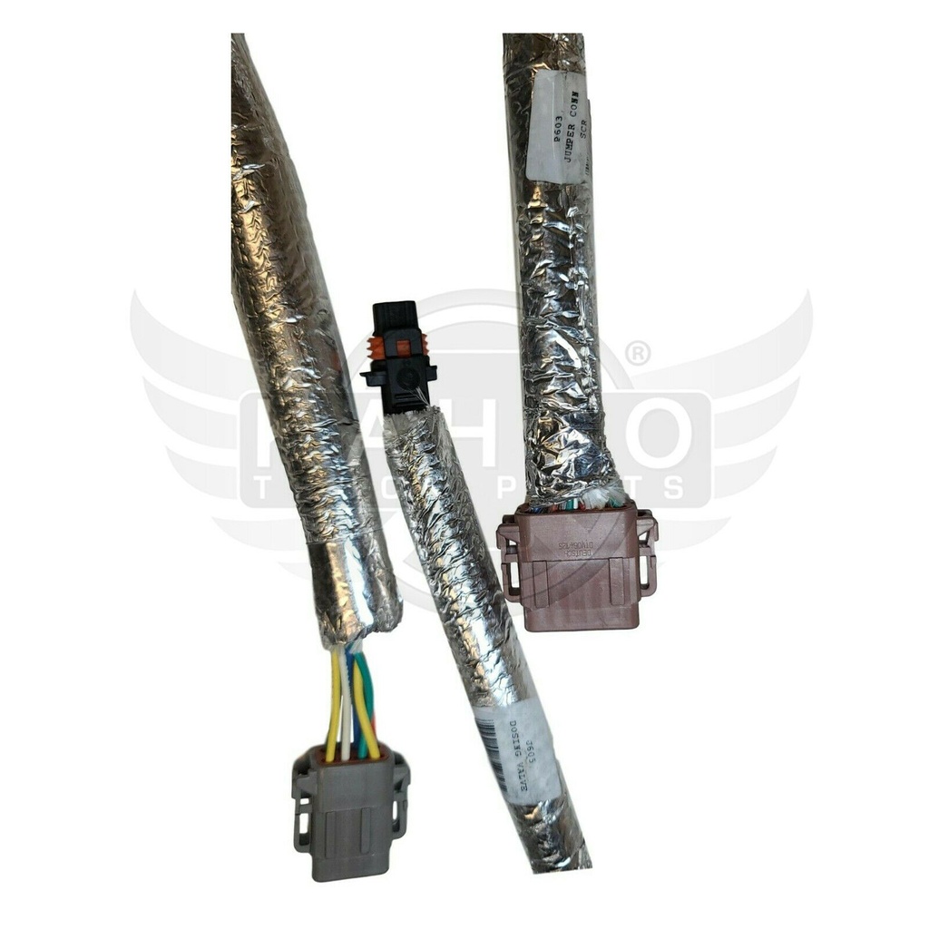 Image-3