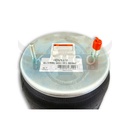 Image-1