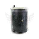 Image-1