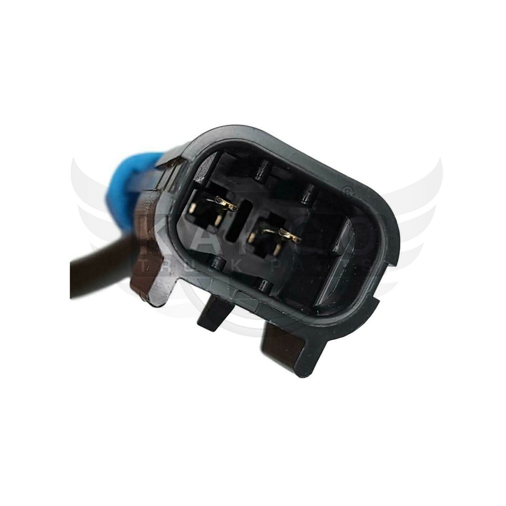 Image-2