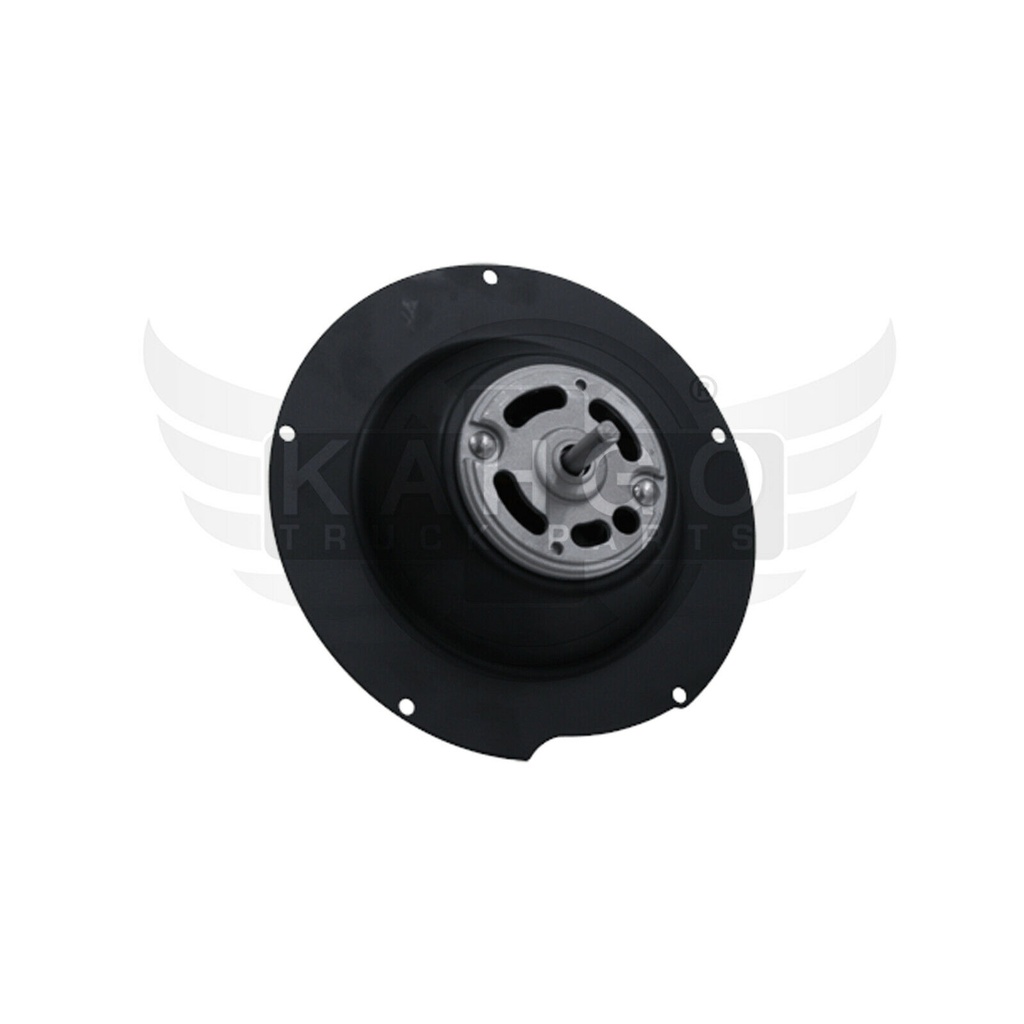 Image-1