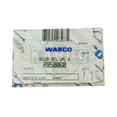 Image-4