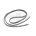 Image-1
