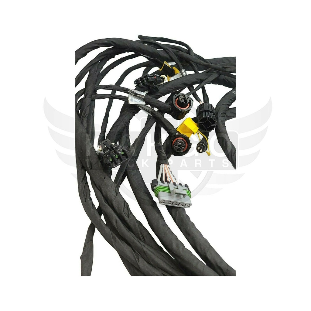Image-1