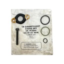 OEM DETROIT INJECTOR O-RING SET CASCADIA A4600700887