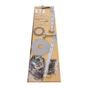 CAT IN-FRAME OVERHAUL SET 48  ES406462NLS