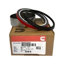 OEM Cummins KIT SEAL V6D5 3925343CUM 3925343