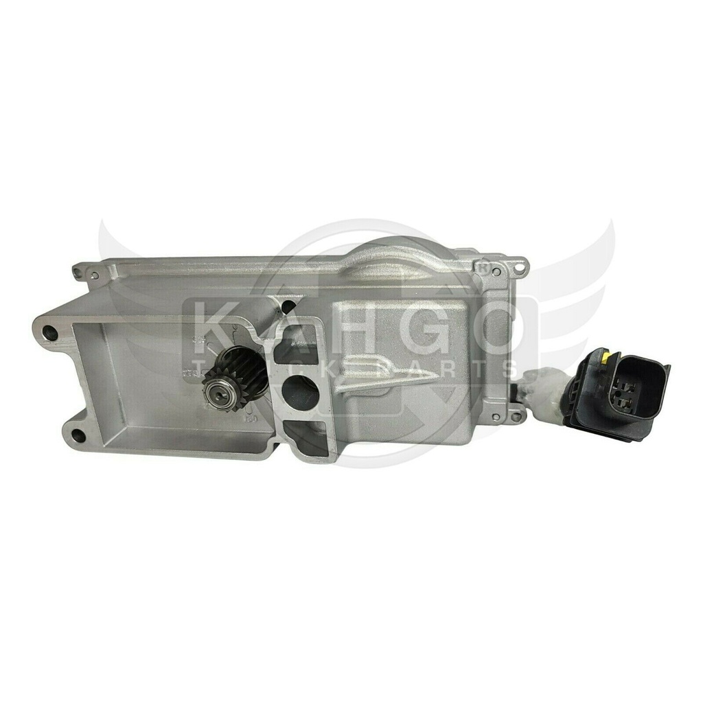 Image-1