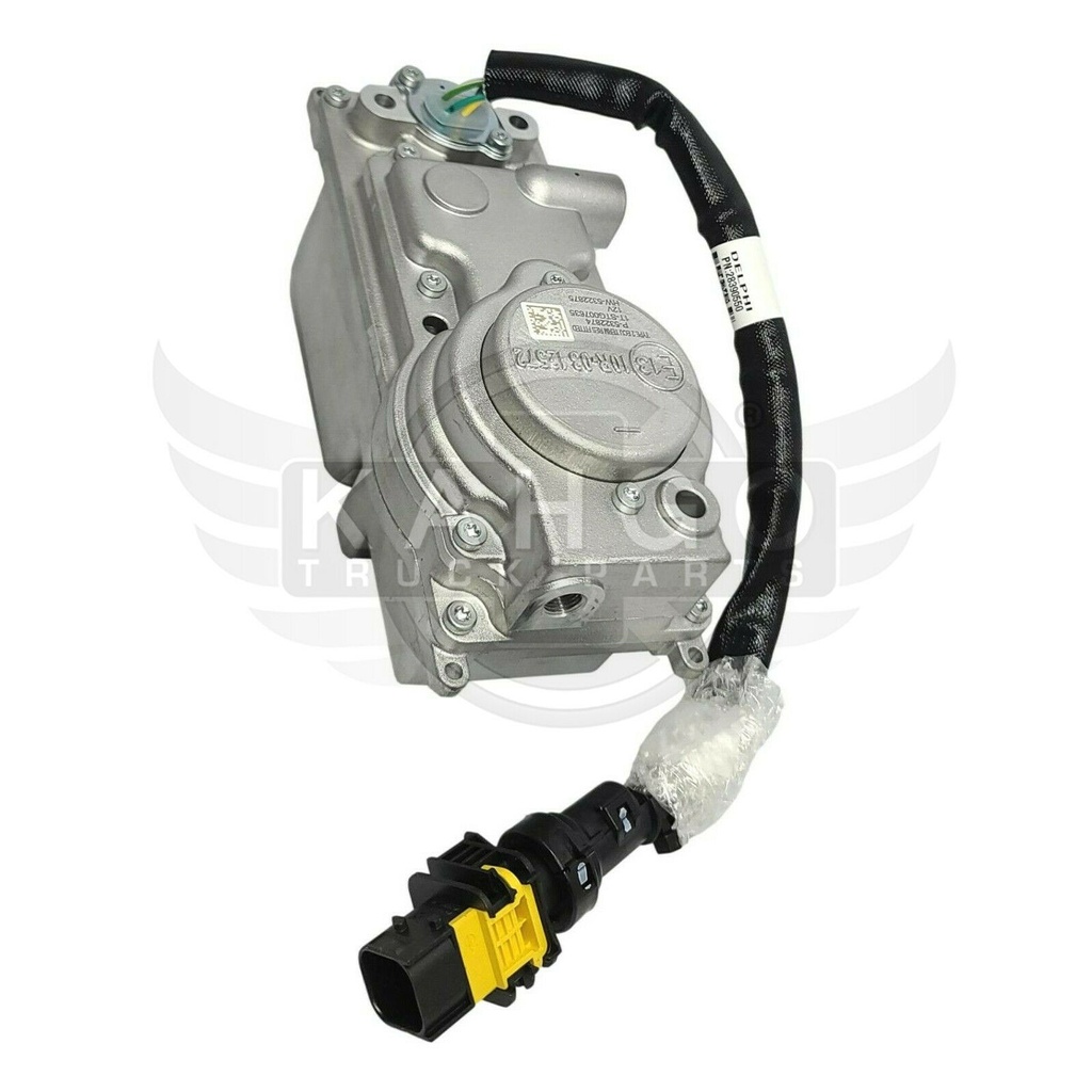 Image-3