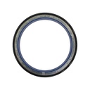 OEM Cummins CRANK FRONT SEAL 3685173CUM 3685173