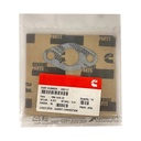 OEM Cummins TURBO DRAIN GASKET N14 3202117CUM 3202117 131298