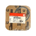 OEM Cummins GASKET EXH GAS RCN VALVE 3104230CUM 3104230