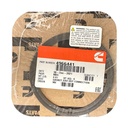 OEM Cummins EGR GASKET ISX 4966441CUM 4966441