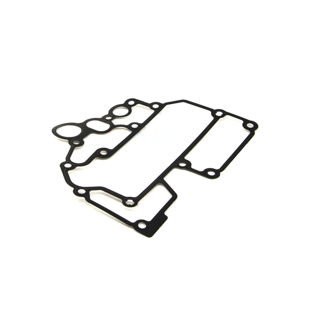 OEM INTERNATIONAL GASKET, OIL MODULE 3006150C1
