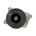 OEM Cummins PUMP WAT SPC 5719755CUM 5719755 3692580