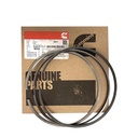 OEM Cummins PISTON RING SET ISX 5405717CUM 5405717 3680725 4089406