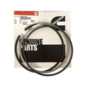 OEM Cummins PISTON RING SET 4352282CUM 4352282