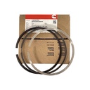 OEM Cummins KIT PIST V8F2 5406206CUM 5406206