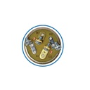 Rotary Reversing Switch 577.3063, 7571204, 191079, CHS7571204