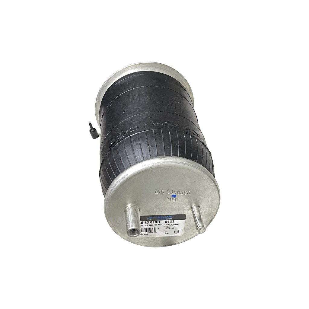 AB1DK10B-5423.2.jpg