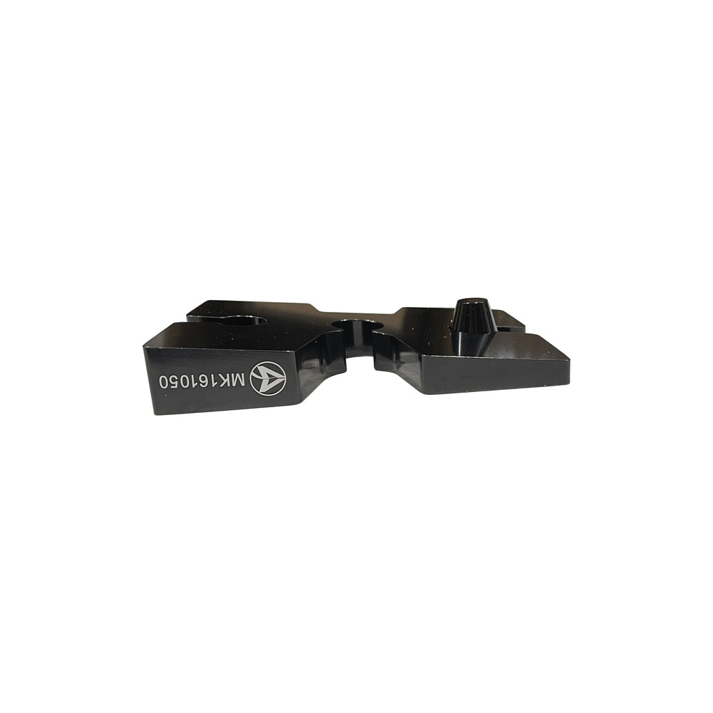 MK161050.1.jpg