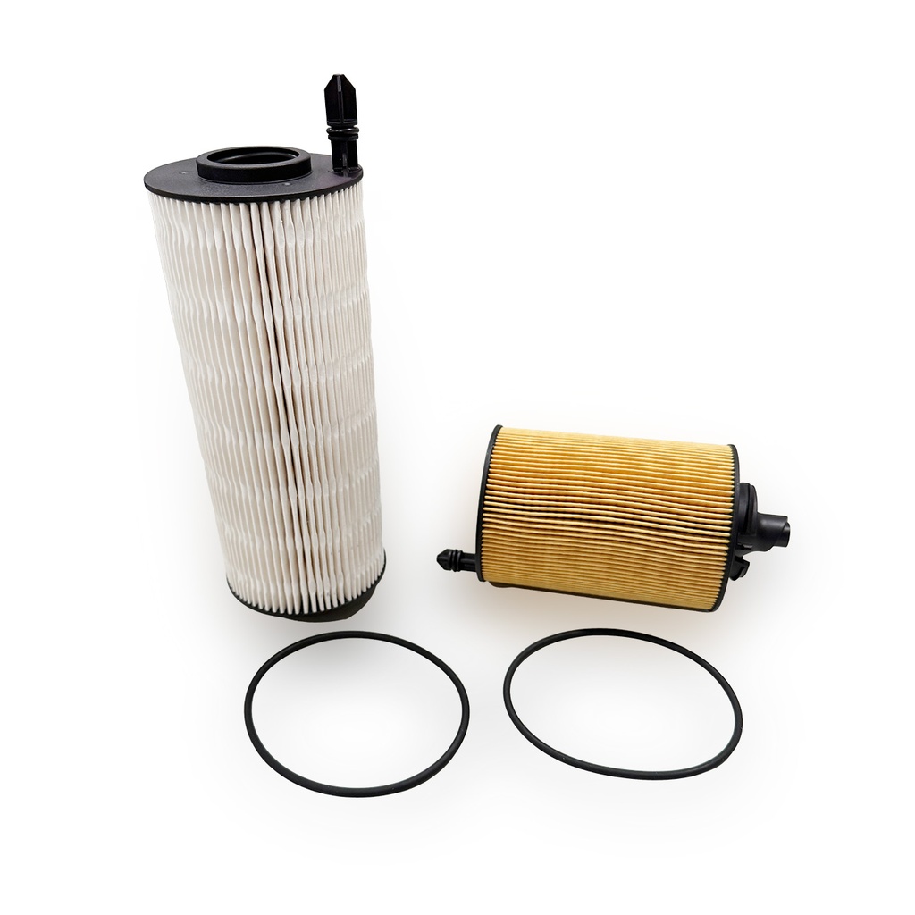 Fuel Filter Kit (Set of 2 Fuel Filters) E546KP D890-2,  2272926, 2272926PE