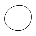 OEM VOLVO DEF O-RING  TDA5X1034