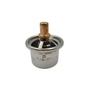 New OEM Genuine  Cummins 3076489 THERMOSTAT
