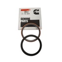 OEM CUMMINS  SEAL,OIL  4955372