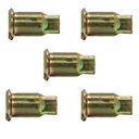 Inner Cap Nut  201.1001L   E5549L  (Pack of 5)