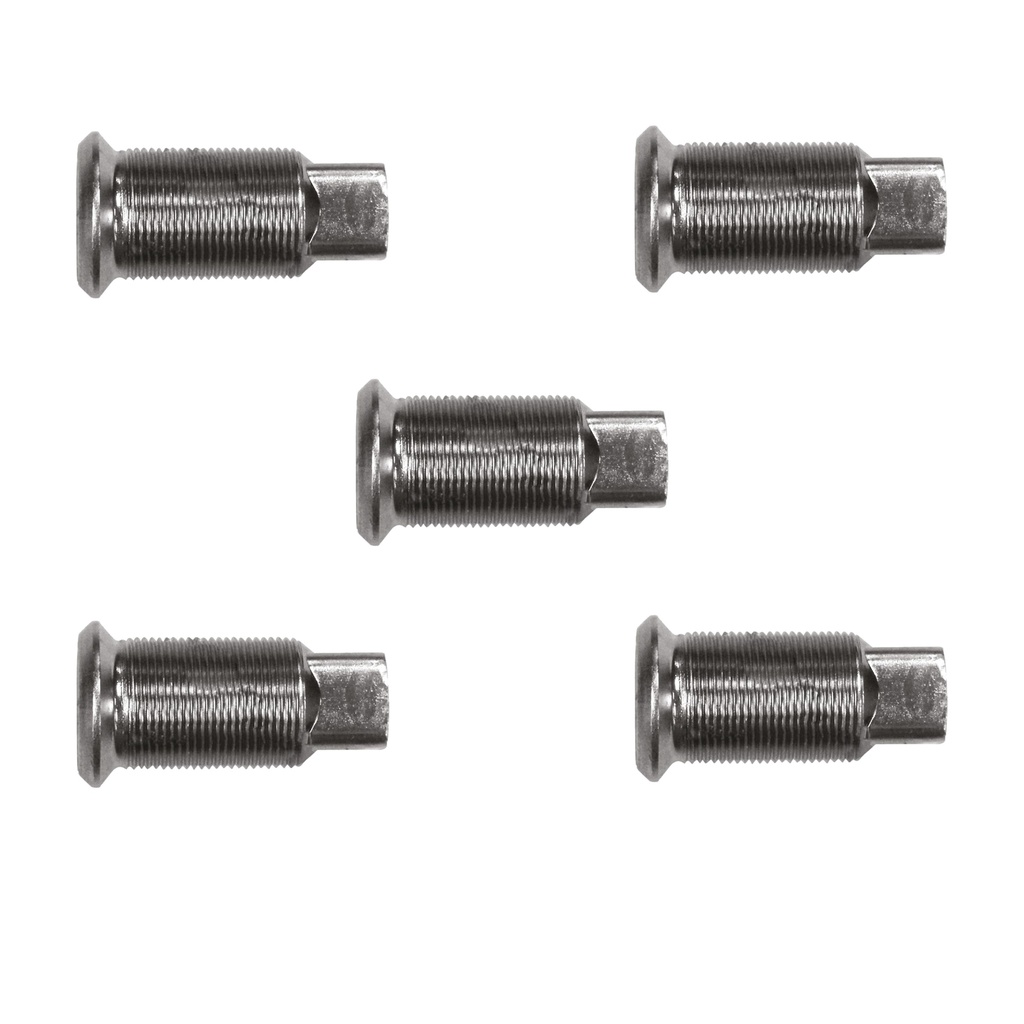 Inner Cap Nut  201.1002L  E7896L R0078966 (Pack of 5)